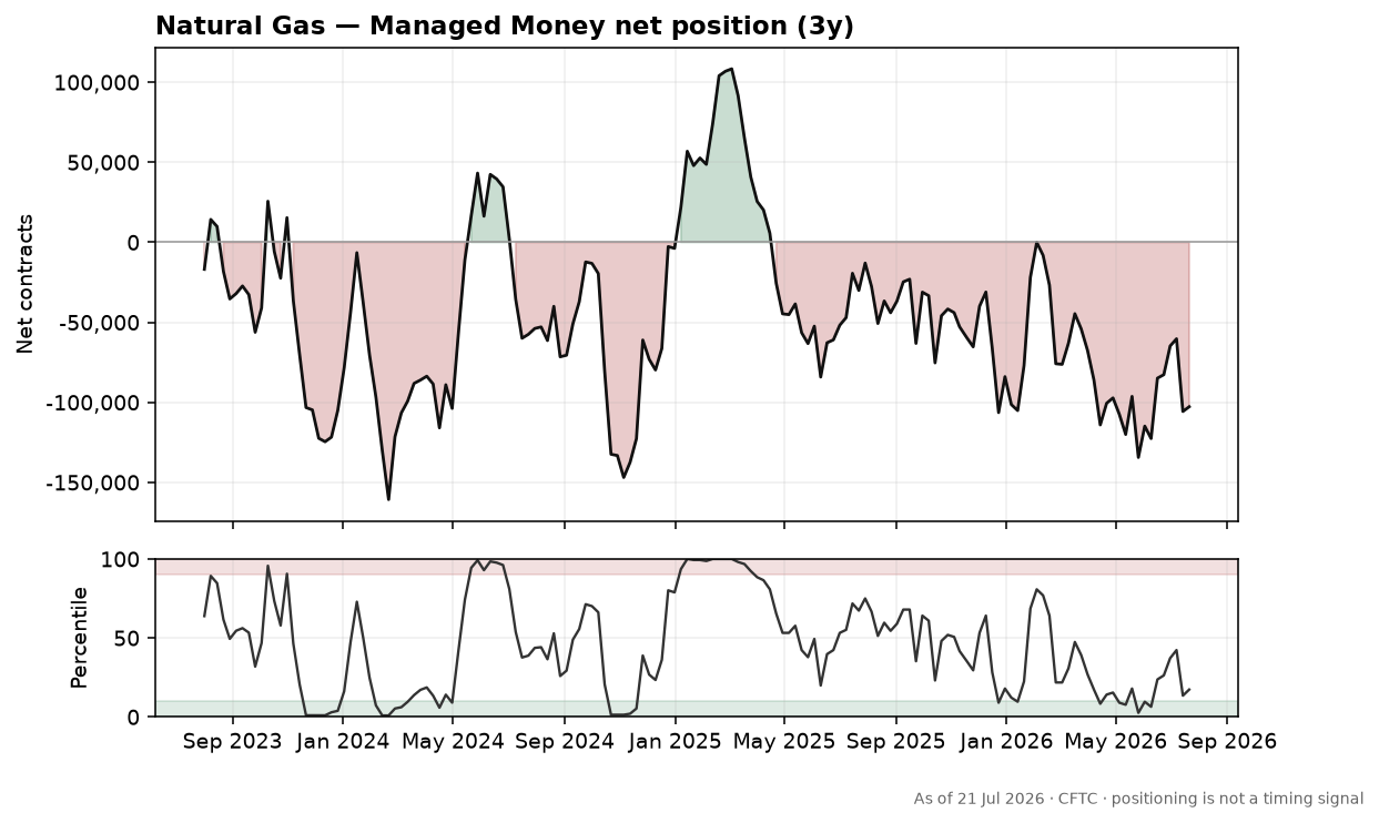 Natural Gas speculative positioning chart